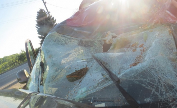 Zrádný mikrospánek zapříčinil nehodu třicetiletého řidiče osobního vozu VW Kombi